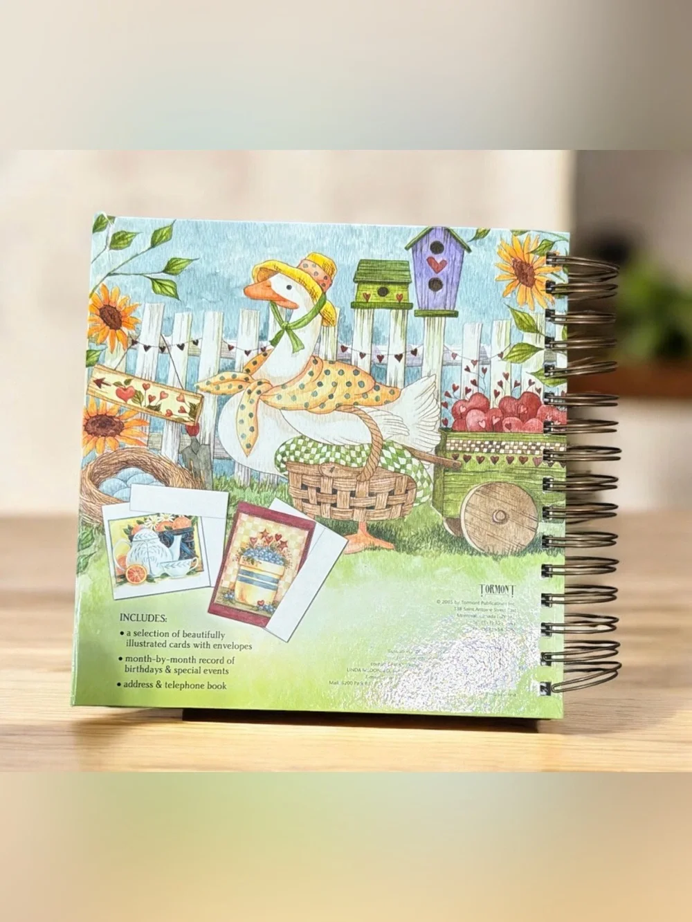 Diane Knott spiral bound